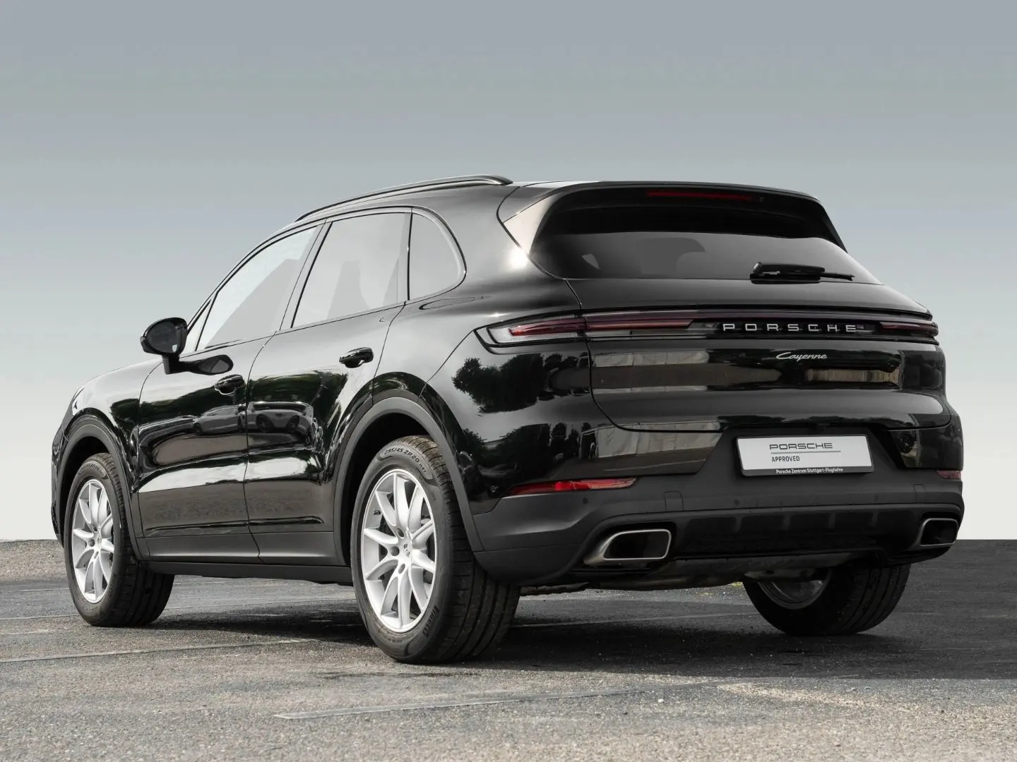 Cayenne Panorama Dachsystem 90 Liter Tank