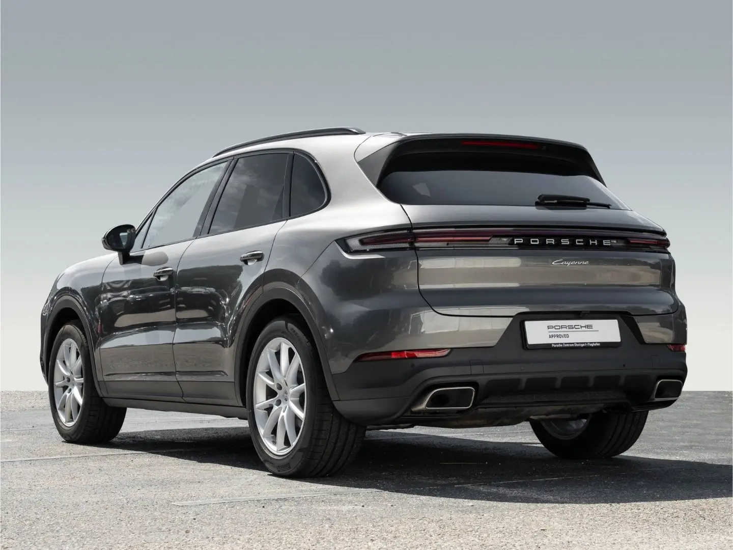 Cayenne Panorama Dachsystem 90 Liter Tank
