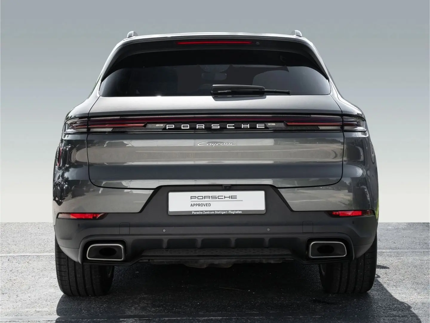 Cayenne Panorama Dachsystem 90 Liter Tank