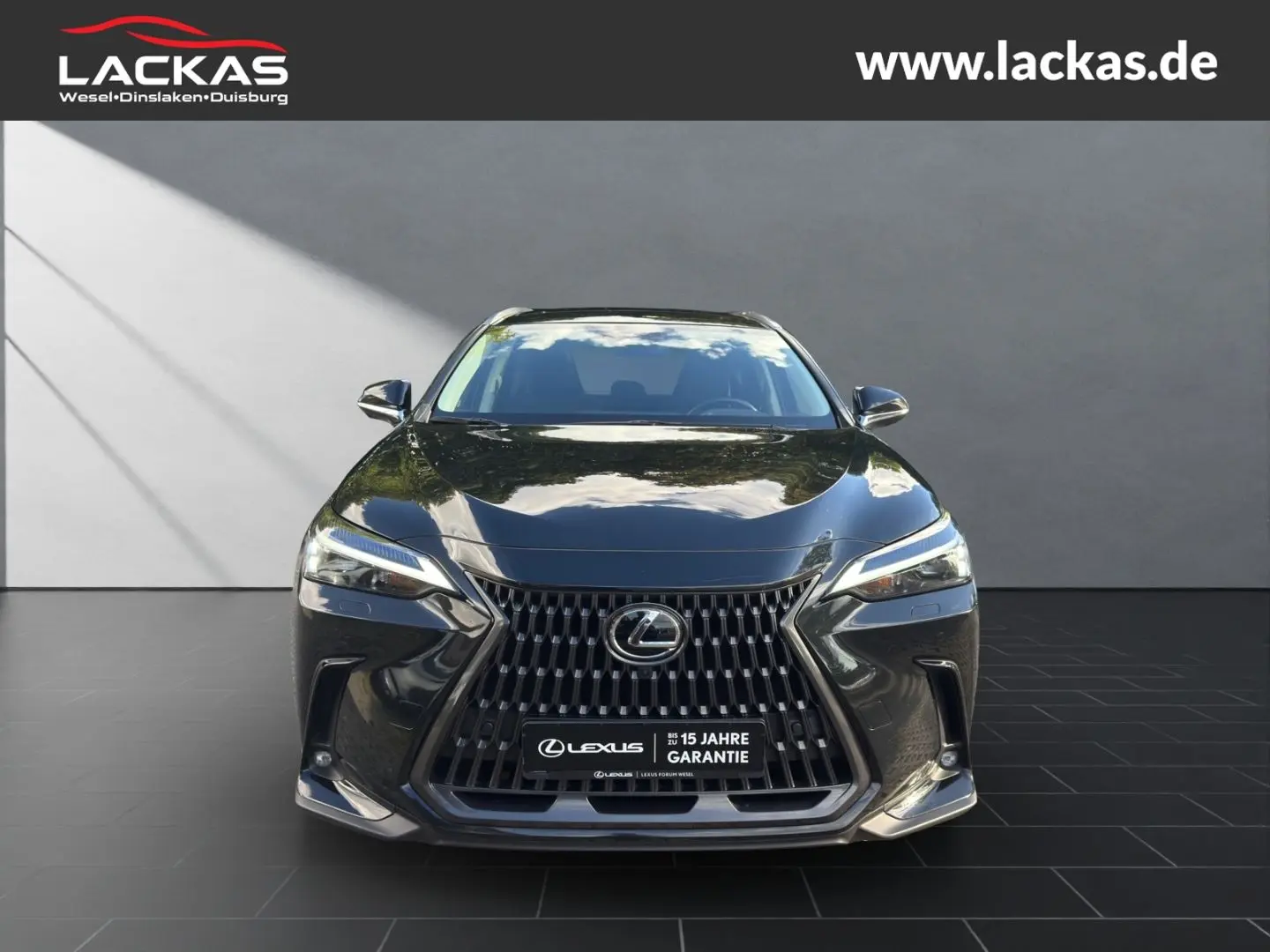 NX 350h EXECUTIVE*E-FOUR*HUD*ALLSEASON*MEMORY*36