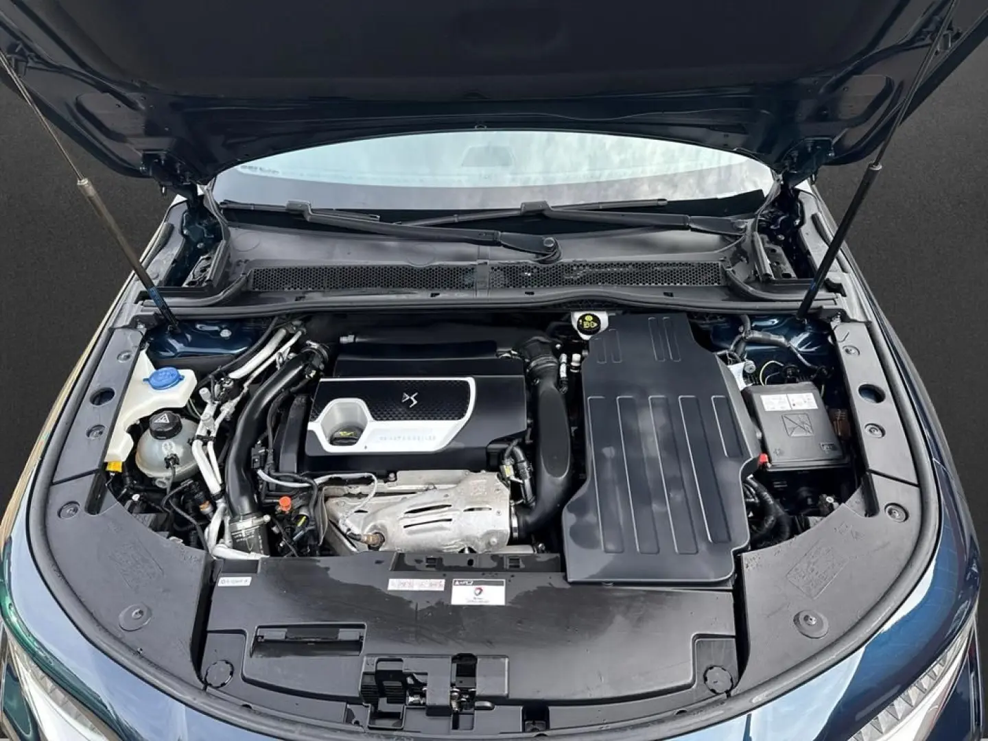 DS9 E-Tense 225 Performance Line +