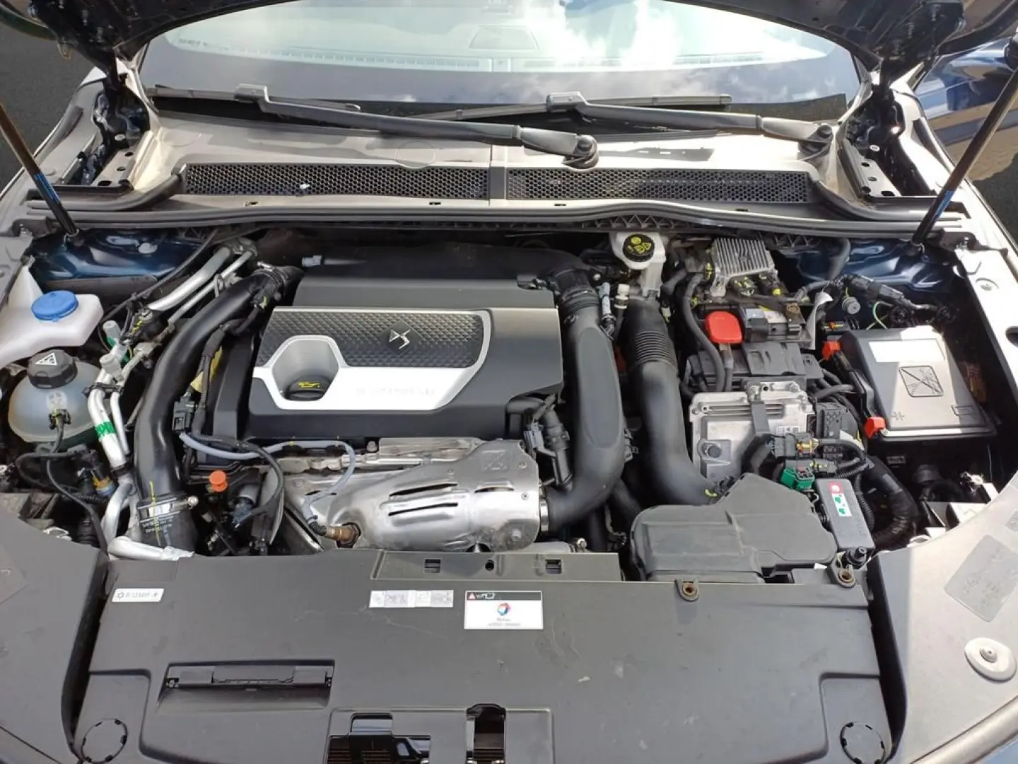DS9 E-Tense 225 Performance Line+