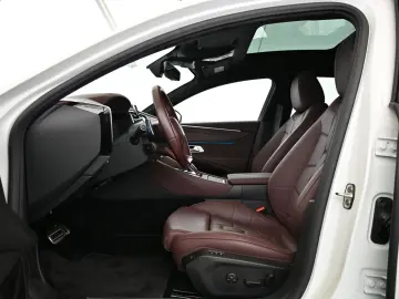 DS9 1.6 E-Tense 250 RIVOLI+ UVP 71.000 EUR