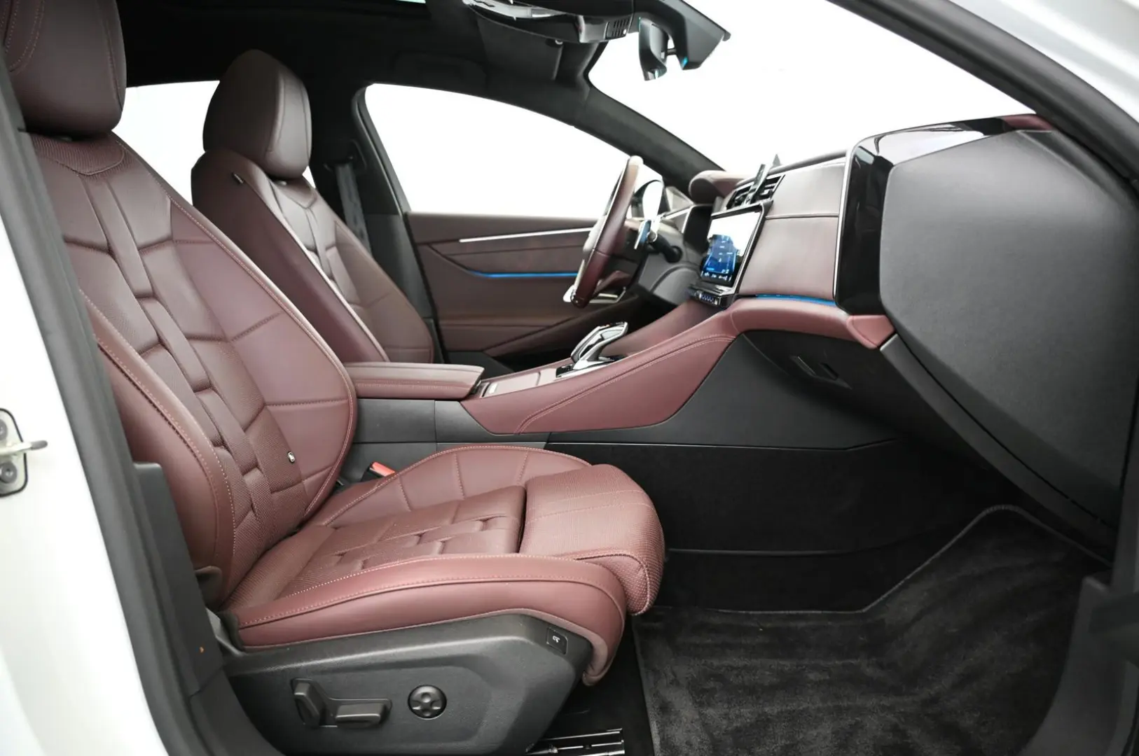 DS9 1.6 E-Tense 250 RIVOLI+ UVP 71.000 EUR