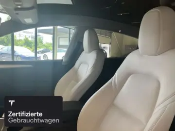 Model Y Long Range RWD