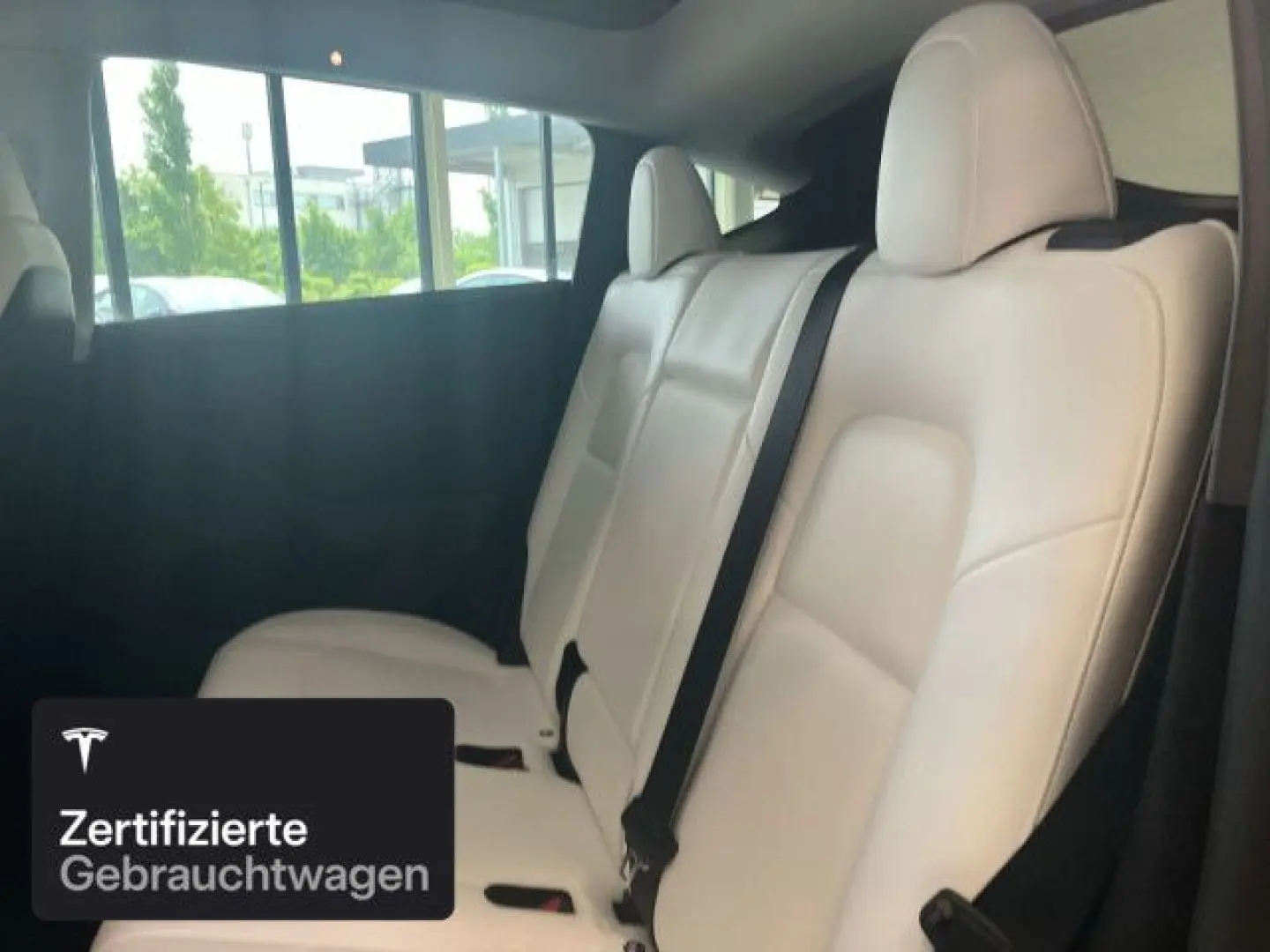 Model Y Long Range RWD