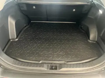 RAV4 Hybrid 4x2 Team D+ Technik-Paket