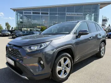 RAV 4 HYBRID TEAM DEUTSCHLAND TECHNIK-PAKET DAB