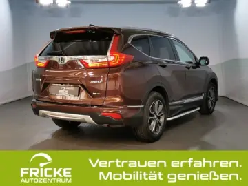 CR-V 4WD Executive Panoramadach+Leder+SPortPaket