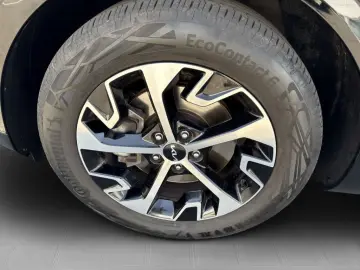 Sportage 1.6 T-GDI Mild-Hybrid 180 AWD DCT Spiri
