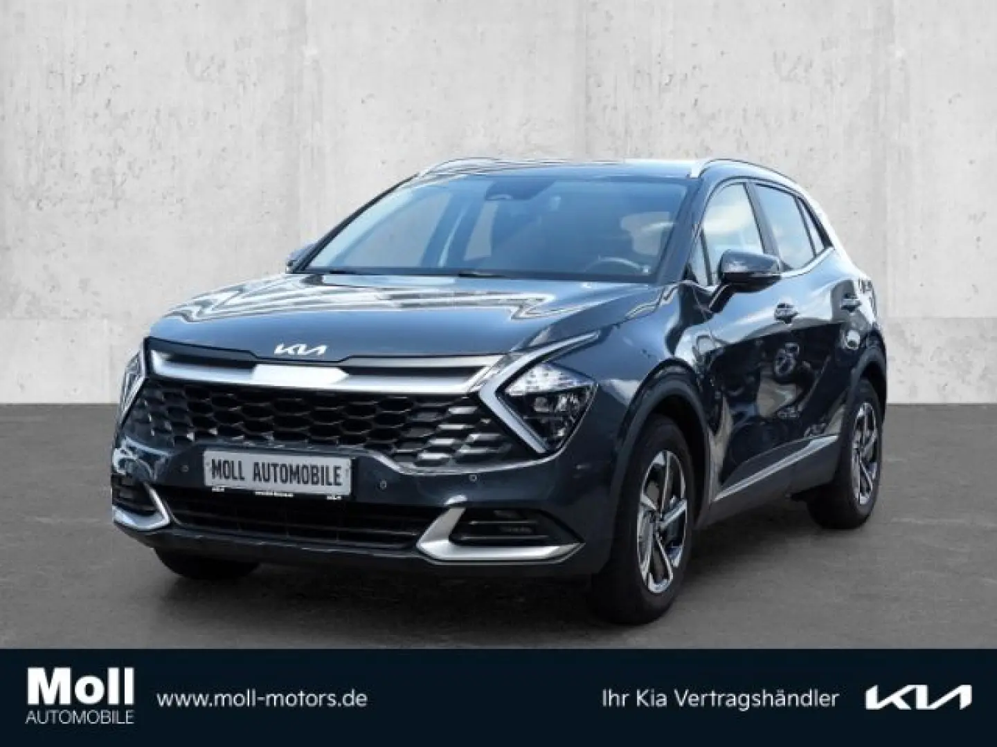 Sportage Vision 4WD Mild-Hybrid Navi Digitales C