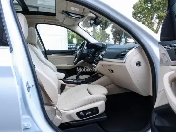 X3 xDrive30i xLine*Business + Innovationspaket*