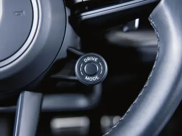 Cayenne S E-Hybrid Coupé Sportabgasanlage