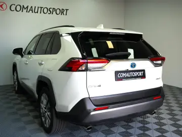 TOYOTA RAV4 HYBRID4X4 LUXURY PREMIUM AT