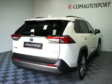 TOYOTA RAV4 HYBRID4X4 LUXURY PREMIUM AT