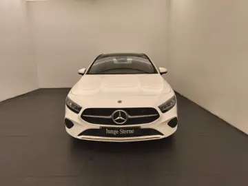 A 220 4M Limo Progressive Advanced Distro Pano
