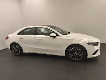 A 220 4M Limo Progressive Advanced Distro Pano