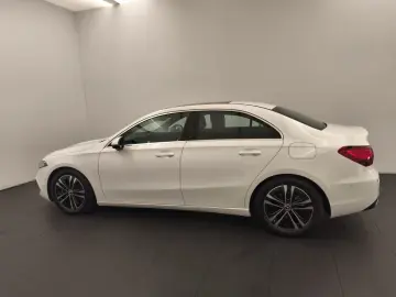 A 220 4M Limo Progressive Advanced Distro Pano