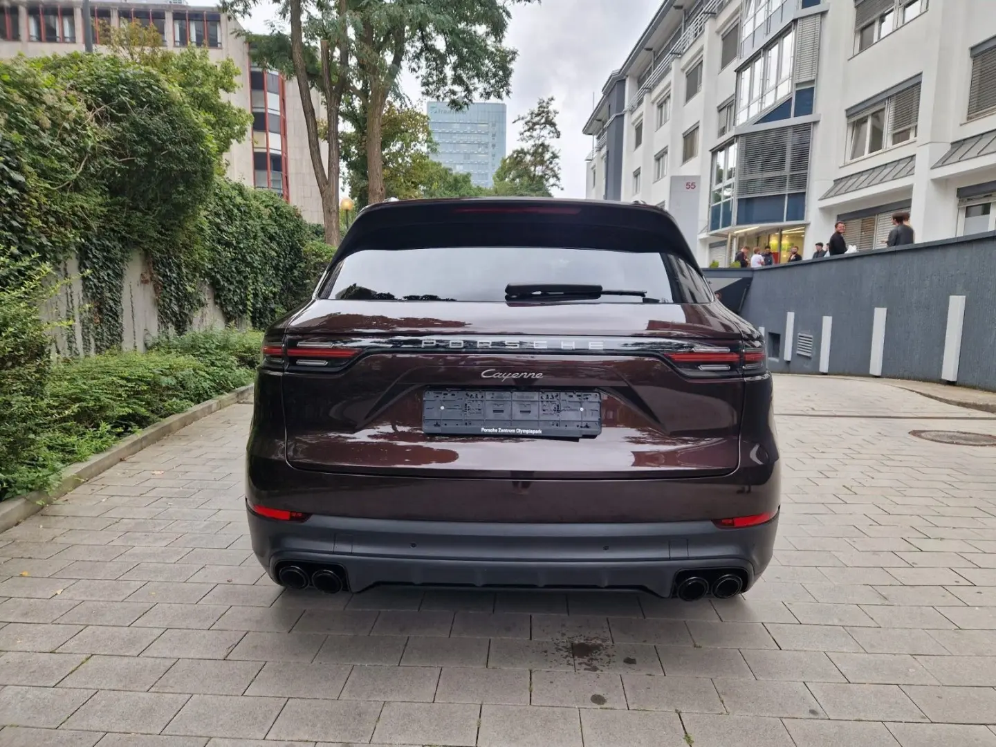 Cayenne Platinum Edition,Pano,ALU21