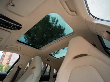 Porsche Panamera 4 S E-Hybrid 2.9 V6 PDK