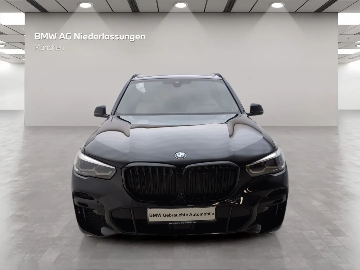 X5 xDrive30d M Sport Standheizung AHK Kamera