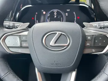 NX 350h Executive Line *Bi-LED*360°*ACC*el Heck*