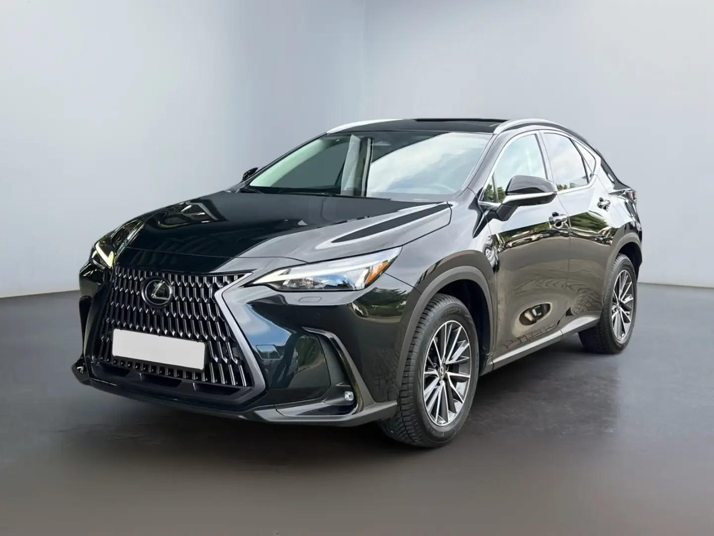 NX 350h Executive Line *Bi-LED*360°*ACC*el Heck*