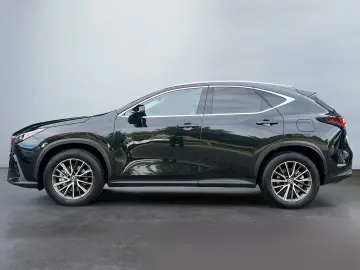 NX 350h Executive Line *Bi-LED*360°*ACC*el Heck*