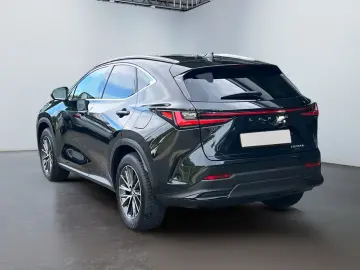 NX 350h Executive Line *Bi-LED*360°*ACC*el Heck*