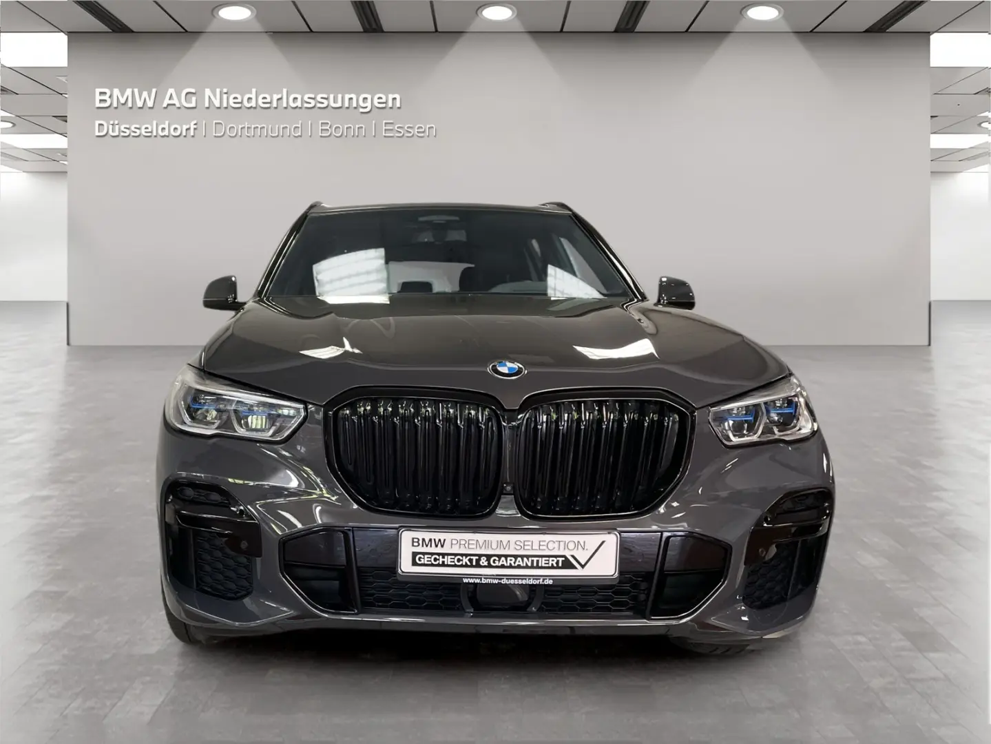 X5 xDrive30d M Sport Driv.Assist.Prof Head-Up
