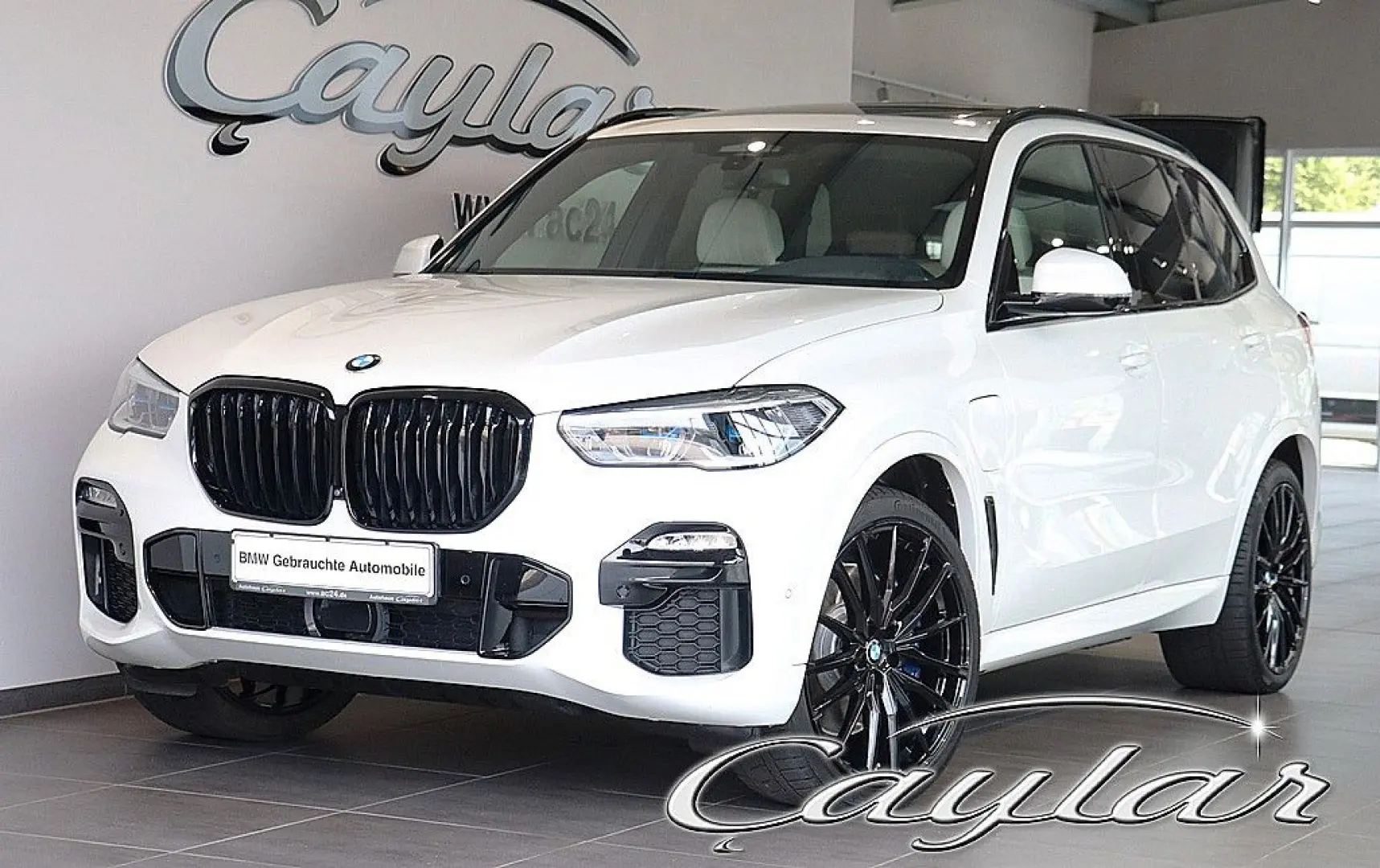 X5 45e M SPORT LASER BELÜFTET SKY LOUNGE B&W 22