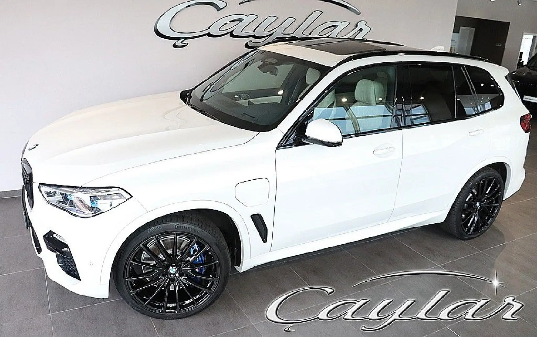 X5 45e M SPORT LASER BELÜFTET SKY LOUNGE B&W 22