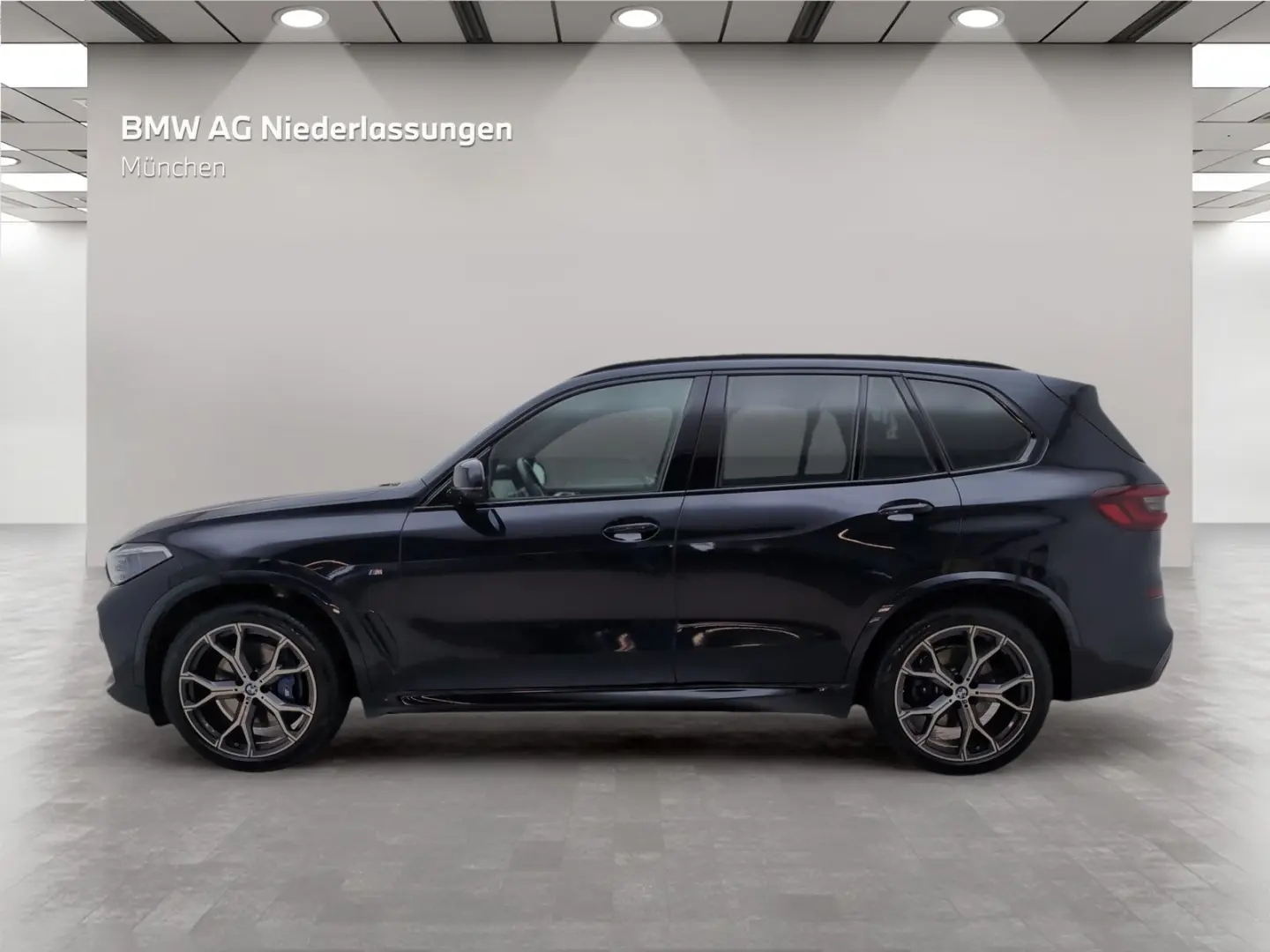 X5 xDrive30d M Sport Standheizung Head-Up Laser
