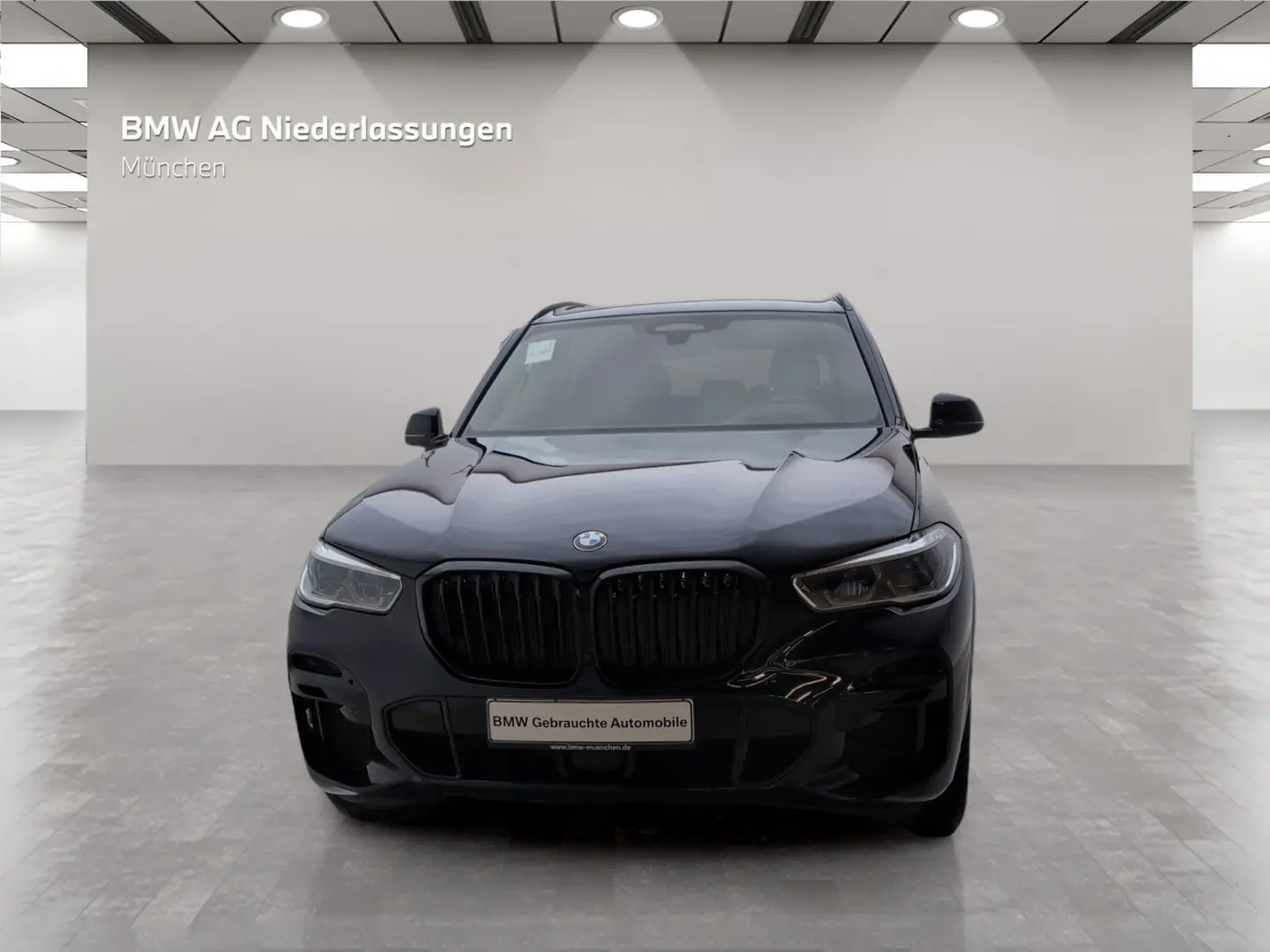 X5 xDrive30d M Sport Standheizung Head-Up Laser
