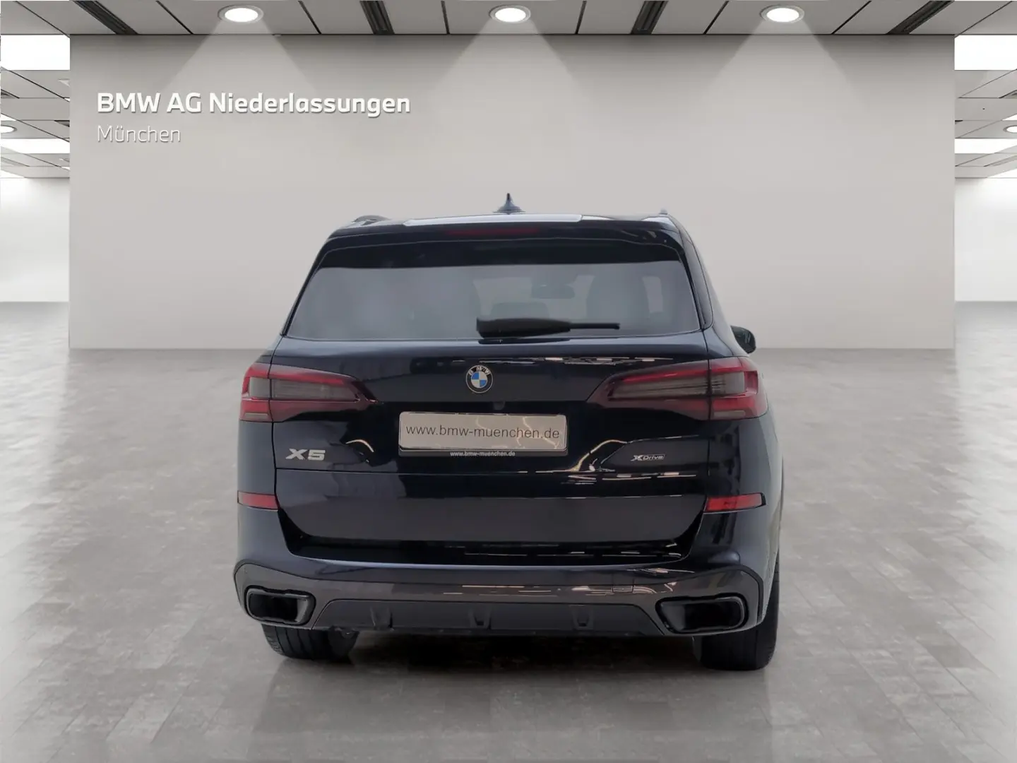 X5 xDrive30d M Sport Standheizung Head-Up Laser