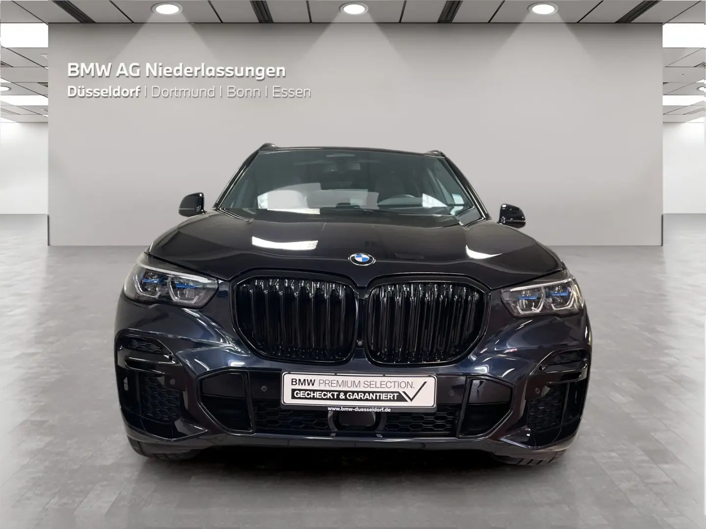 X5 xDrive30d M Sport Standheizung Head-Up Laser