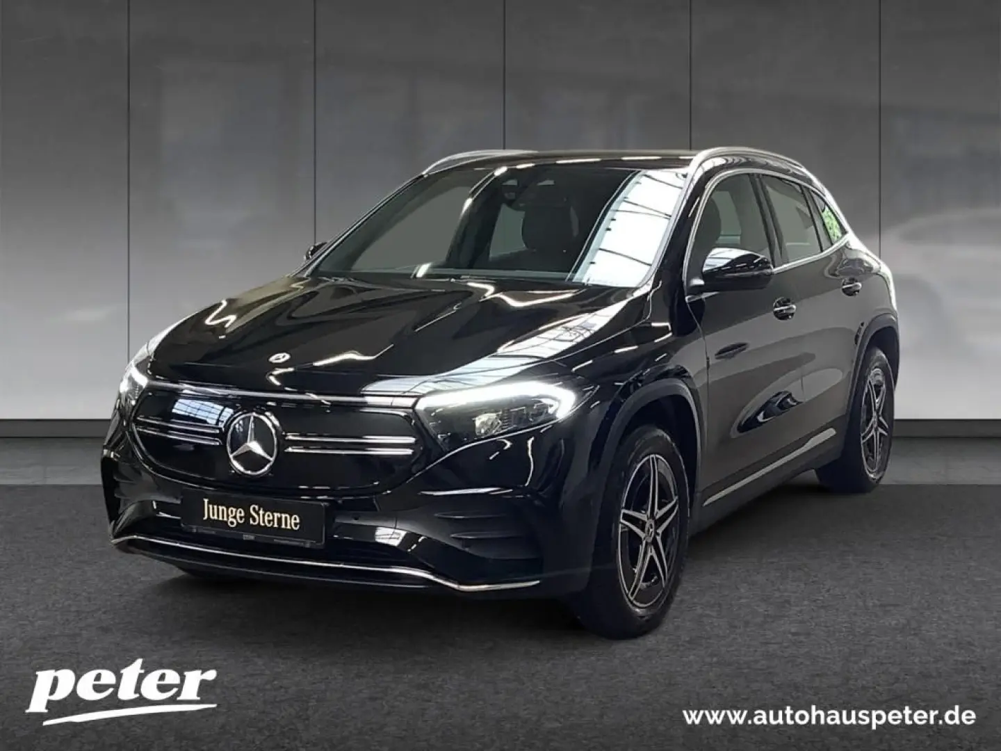EQA 300 4M AMG/LED/Kamera/Navigation/DC-Laden/