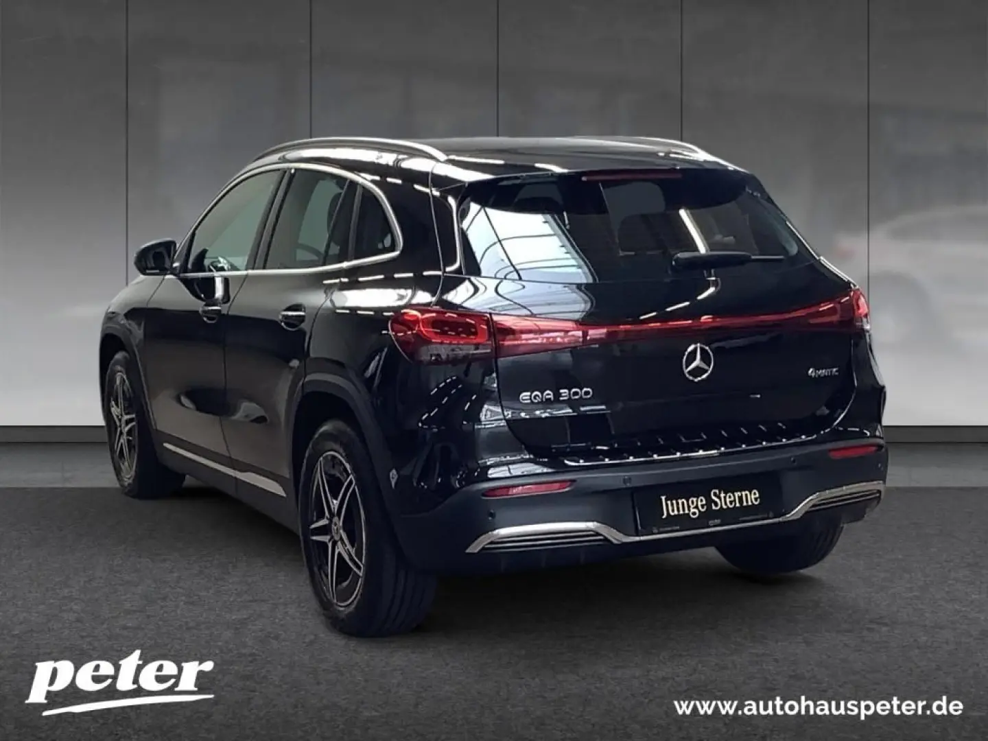 EQA 300 4M AMG/LED/Kamera/Navigation/DC-Laden/