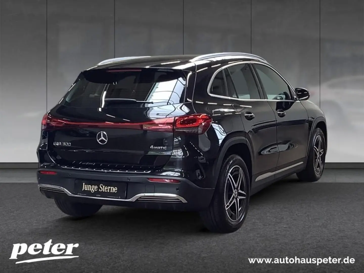 EQA 300 4M AMG/LED/Kamera/Navigation/DC-Laden/