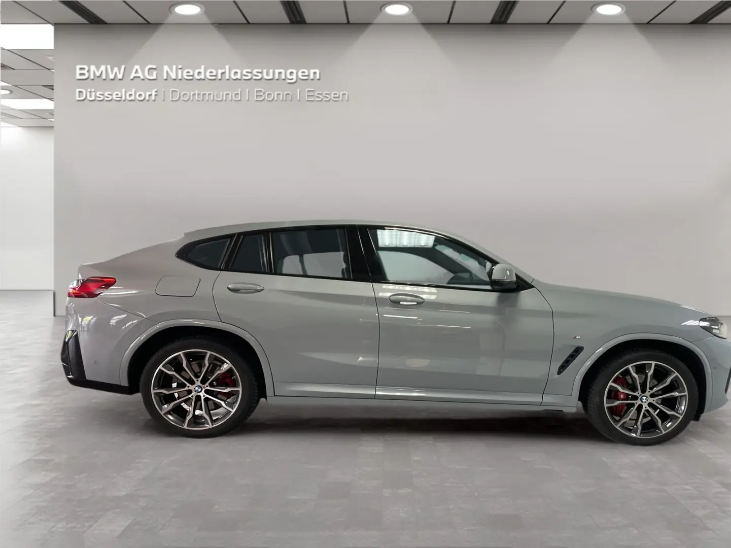 X4 xDrive20d M Sport LiveCockpitProf Kamera LED