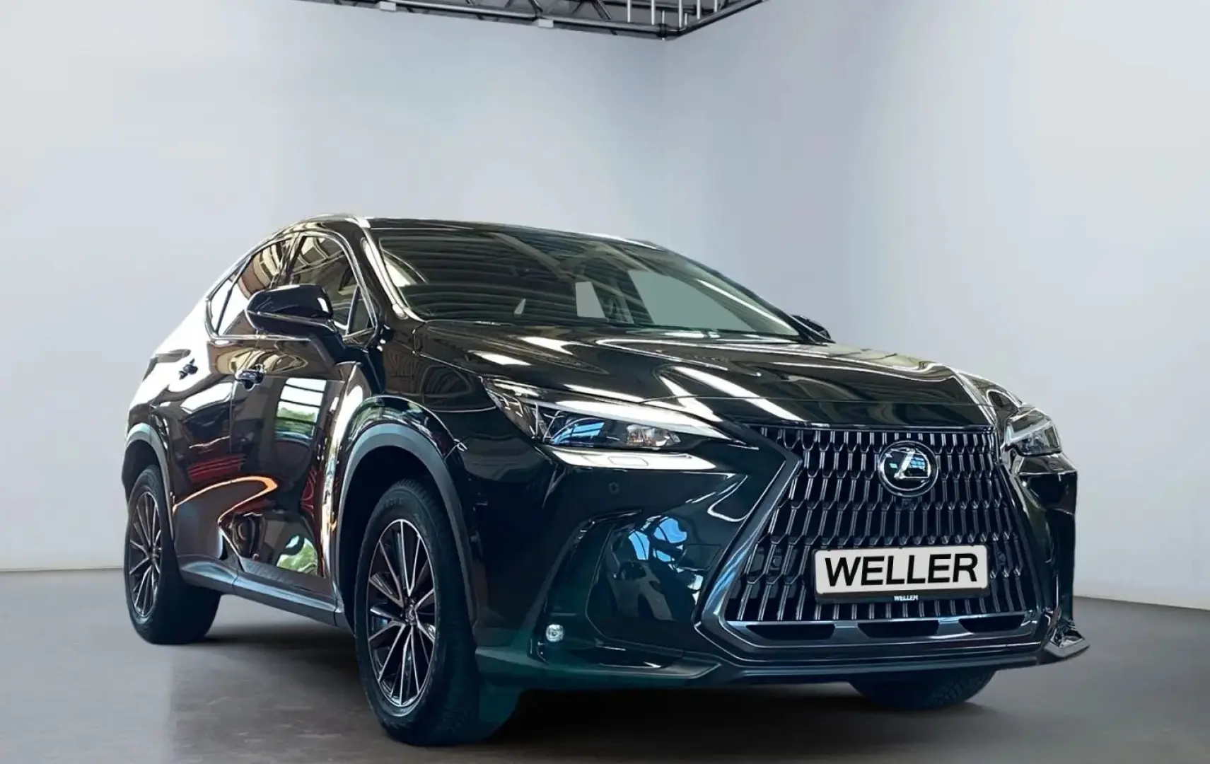 NX 350h Executive Line  Bi-LED 360  ACC el Heck