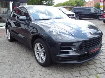 Macan