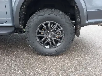 Raptor 3.0l Doka RFK, AHK, PDC, LED