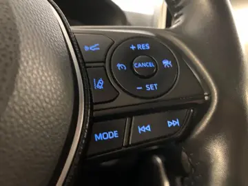Toyota RAV 4 RAV4 Hybrid 4x4 Team