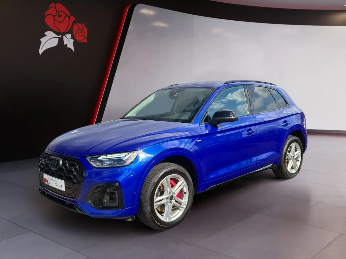 Q5 50 2.0 TFSI e quattro S-line LED ACC 360° Nav