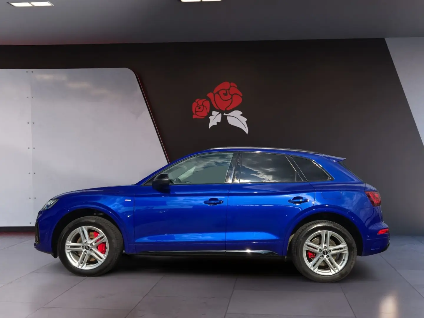 Q5 50 2.0 TFSI e quattro S-line LED ACC 360° Nav