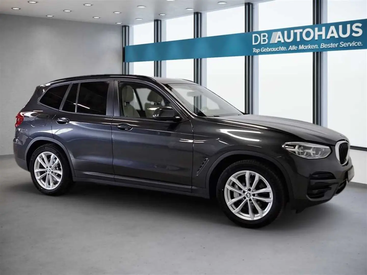 X3 xDrive 30e Advantage Steptronic Leder HeadUp