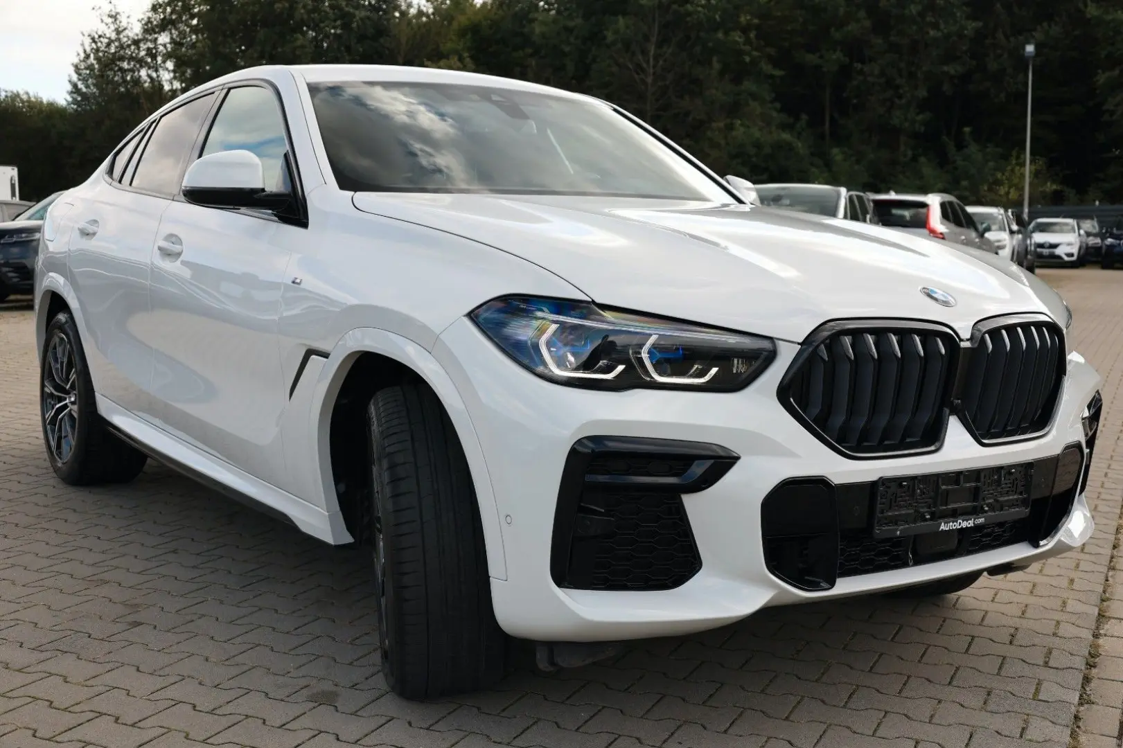 X6 30d xDrive M Sport Paket* Laser