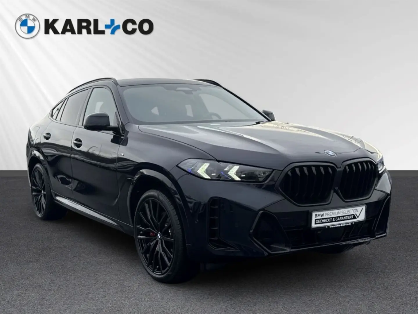 X6 xDrive30d 285PS ++M-Sport ACC StandHZG Pano M