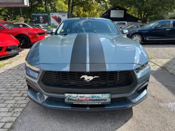 Mustang 2.3 ECO/Model-25/My-Colour/Spurh/Carpl/